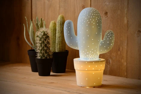 Интерьерная настольная лампа Lucide Cactus 13513/01/68
