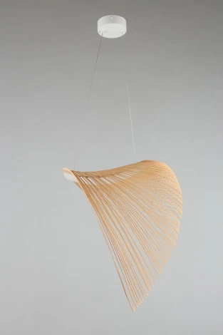 Подвесной светильник Aployt Amareynt APL.655.03.21 (LED, 220V, на тросе)