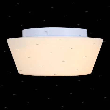 Потолочный светильник ST Luce Adatto SL296.502.02