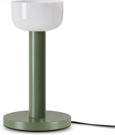 Настольная лампа Freya Barries FR6185TL-L5GN (LED, 220V)