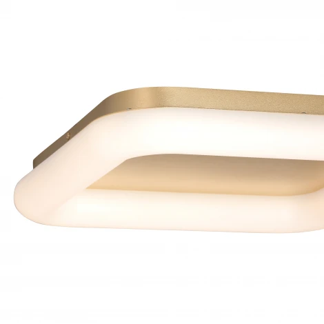 Потолочный светильник светодиодный Vitaluce V2542DT-8/1PL