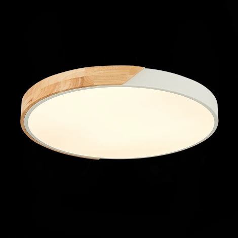 Потолочный светильник Evoluce Festa SLE200952-01