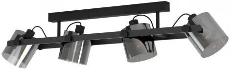 Спот Eglo Hornwood 2 43671