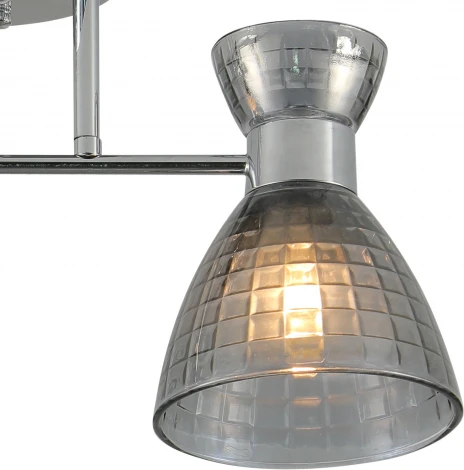 Потолочная люстра на штанге Reluce 07305-0.3-02 (220V)