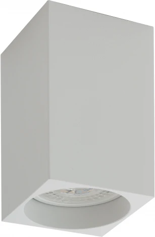 Накладной точечный светильник Denkirs DK2005 DK2009-WH
