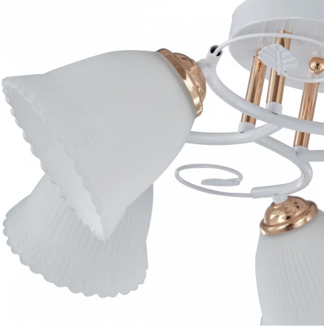 Потолочная люстра на штанге Arte Milano AMALFI-325395 325395/5A WH+FG (220V)