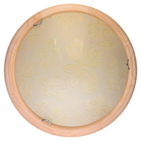 Настенно-потолочный светильник Toplight Jane TL9640Y-00PN