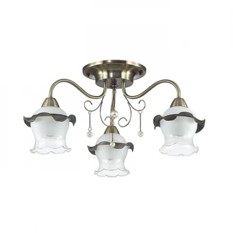Потолочная люстра Lumion Zidoni 3239/3C