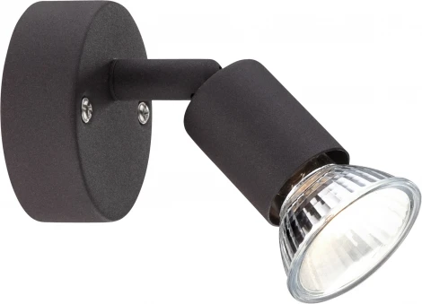 Спот Globo Oliva 57382-1