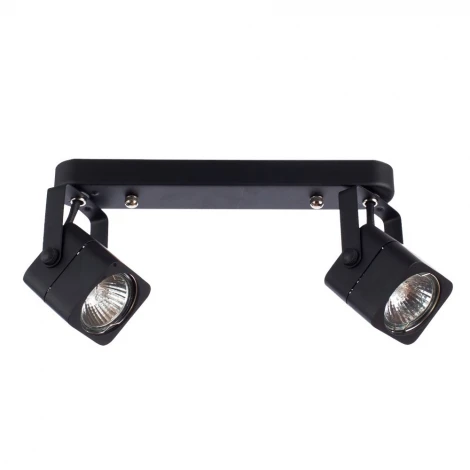 Спот Arte Lamp Lente A1314PL-2BK