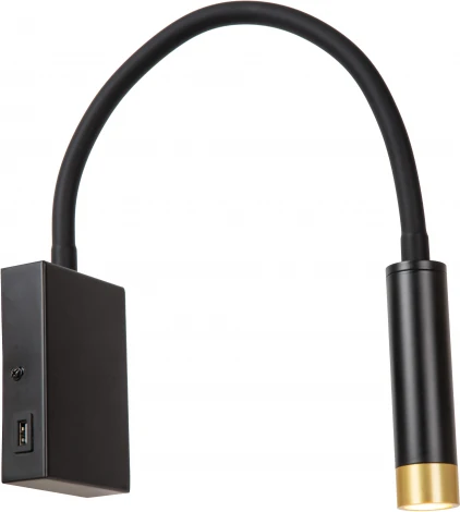 Настенный светильник для чтения с USB-портом Lucide ALEC 03246/03/30