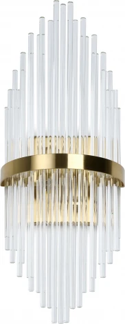 Бра Freya Agora FR5216WL-02BS (220V)