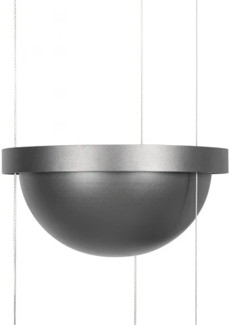 Подвесной светильник Loft It Jardin 10121/2P Dark grey