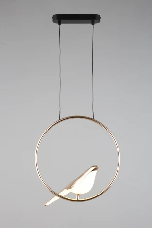 Подвесной светильник Aployt Astor APL.822.06.10 (LED, 220V, на тросе, кольцо, птички)