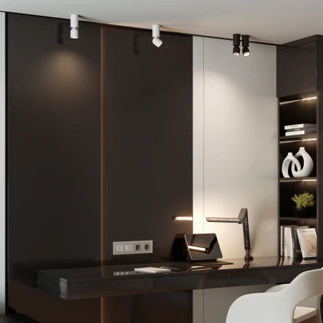 Спот потолочный накладной Elektrostandard Spot 25106/LED 8W 4000K белый/черный (220V, круглые)