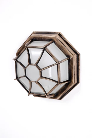 Уличный настенный светильник Oasis Light SIDNEY 10838 Gb (220V, IP54)