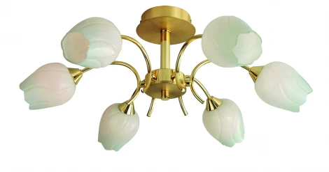 Потолочная люстра Arte Lamp Tulip A8292PL-6PB