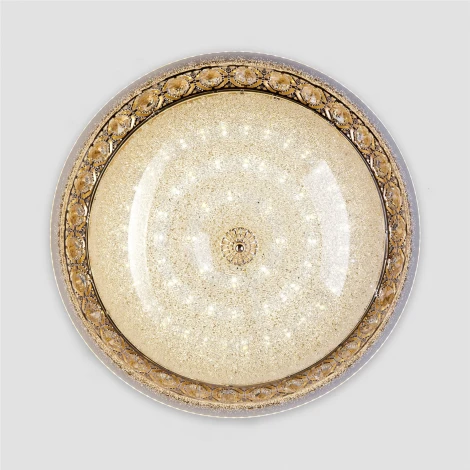 Потолочный светильник светодиодный с пультом с регулировкой цветовой температуры и яркости LED4U LED4U L1110-500 GD