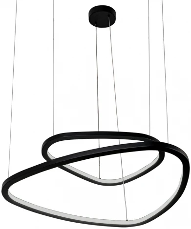 Подвесной светильник Arte Lamp Madison A2194SP-2BK