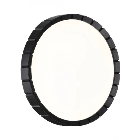 Настенно-потолочный светильник Sonex Atabi Black 7649/CLN пластик/белый/черный LED 36Вт 4000К