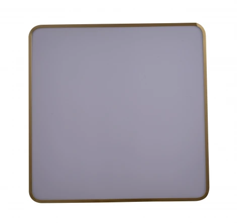 Потолочный светильник Zortes Monna ZRS.1209.05 (LED, 220V)