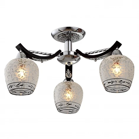 Потолочная люстра Citilux Vudi CL165131