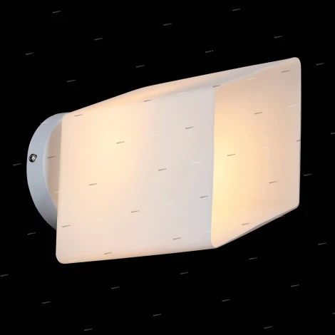 Настенно-потолочный светильник ST Luce Aspetto SL548.501.01