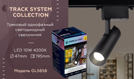 Трековый светильник Ambrella GL GL5858 (LED, 220V, круглые)
