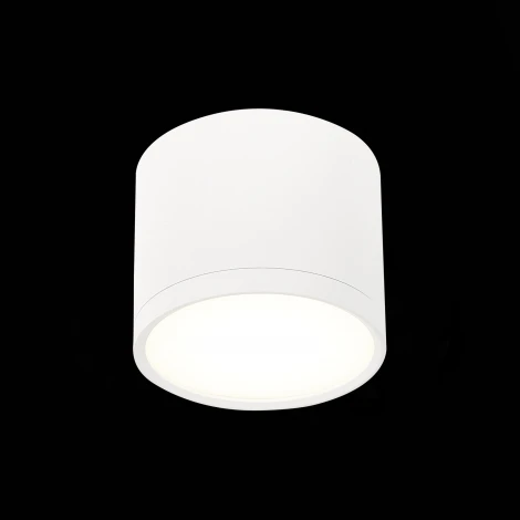 Накладной точечный светильник ST Luce Rene ST113.542.09 (LED, 220V, круглые)