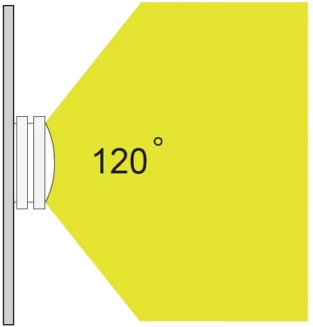 Потолочный светильник уличный Oasis Light SIDNEY 3362 Gr