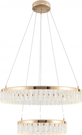 Подвесной светильник светодиодный Rivoli Erika 6131-105 (220V, на тросе, круглые)