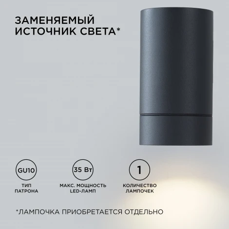 Настенный светильник уличный 1х35Вт графит, алюминий Apeyron 11-118