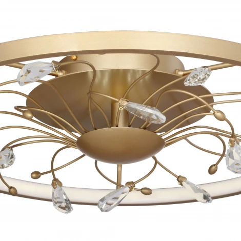 Потолочная люстра Favourite Waltz 2534-5C