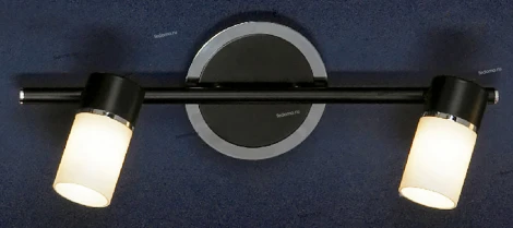 Настенный светильник Lussole Siliqua LSQ-6101-02