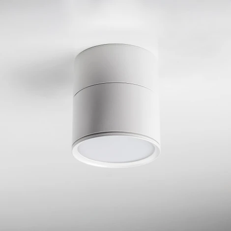 Накладной потолочный светильник Lightstar Acuto 215886 (LED, 220V, круглые, IP44)