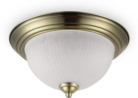 Потолочный светильник круглый Freya Planum FR2913-CL-03-BZ (220V)