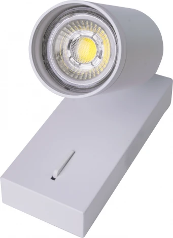 Спот с выключателем Brizzi Aras BR08079