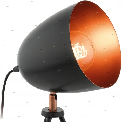 Интерьерная настольная лампа Eglo Chester 49385