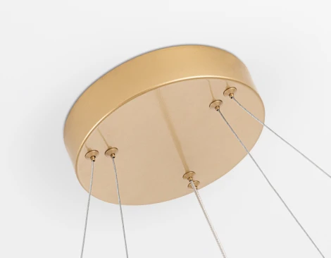 Подвесной светильник светодиодный COMFORT FL5508 Ambrella (220V, на тросе)