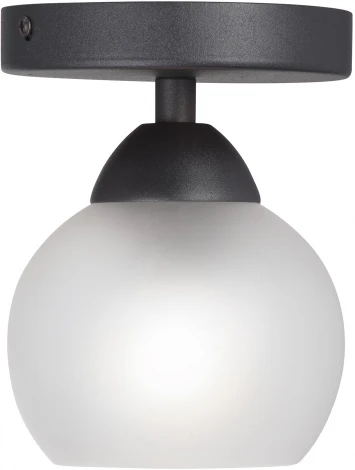 Потолочный светильник V3963-1/1PL Vitaluce