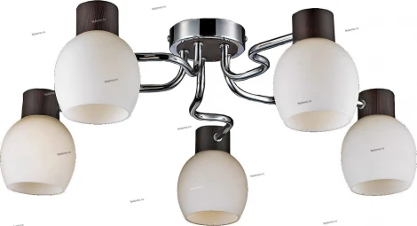 Потолочная люстра Lussole Carpino LSC-8503-05