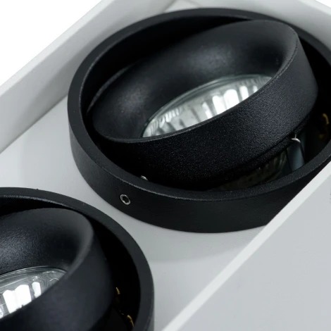 Накладной точечный светильник Arte Lamp Pictor A5655PL-2WH (220V)