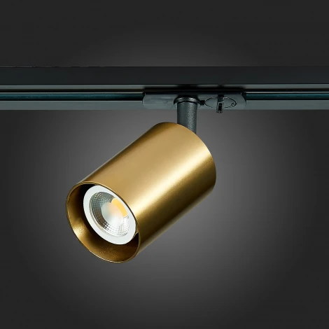 Трековый светильник ST Luce St302 ST302.206.01 (220V, круглые)