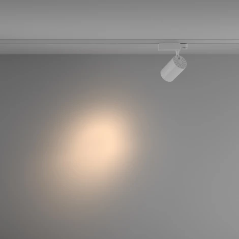 Трековый светильник Vuoro Trinity 3000K 20Вт 24° LED (трехфазный) Maytoni Technical TR029-3-20W3K-S-W (220V, круглые)