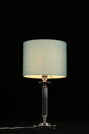 Интерьерная настольная лампа Aployt Nikolet APL.714.04.01 (220V)