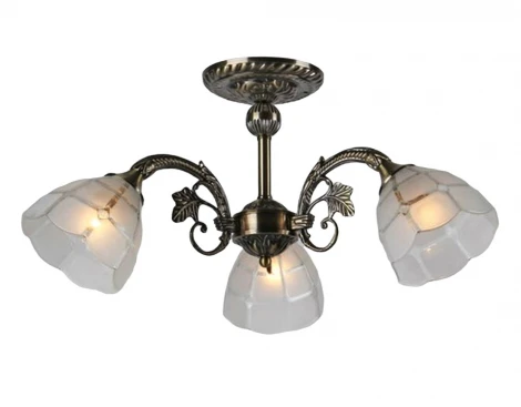 Потолочная люстра на штанге Мелодия Света SL1N 000024275