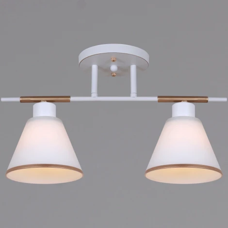 Потолочная люстра на штанге Reluce 07594-0.3-02 WG (220V)