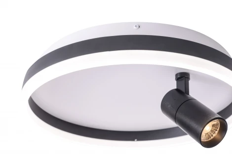 Потолочный светильник круглый со спотом Zortes Raizy ZRS.1888.03 (LED, 220V, круглые)