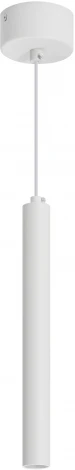 Подвесной светильник LED SP-PIPE-HANG-L300-R30-9W Day4000 (WH, 24 deg, 230V) (Arlight, IP20 Металл) 038612