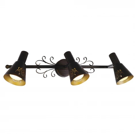 Спот на штанге Citilux Дункан CL529531 (220V, круглые)